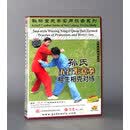 【正版】孙禄堂武学实用技击 五行形意拳相生相克对练 1DVD
