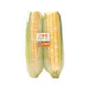 金银玉米600g