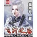 飞升之后
