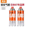 岩谷（Iwatani）气罐户外卡式炉便携燃气瓶野炊野餐户外炉气瓦斯罐装气体 250g*2罐（此选项不发北京,海南,河北）