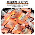 尚烤佳 木炭 菊花碳 烧烤碳 烧烤燃料 取暖炭 煮茶木碳 无烟果木炭 6斤