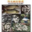 鱼诱过江风钓鱼颗粒饵料正品鲜丹饵邓刚推荐强效诱鱼饵四季通用野钓饵 2瓶【雾化均 诱鱼猛】