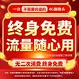 纽曼4g终身免流量监控摄像头家用监控器360度无死角带夜视室内外全景插电对话手机远程无需连wifi网络