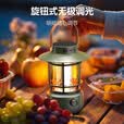 LEM露营灯太阳能超长续航充电灯户外野营帐篷营地灯应急装备挂灯 E01标准版/30H长续航