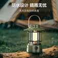 LEM露营灯太阳能超长续航充电灯户外野营帐篷营地灯应急装备挂灯 E01标准版/30H长续航