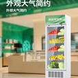 冷藏保鲜幼儿园食品留样柜带锁餐厅食堂小冰箱商用展示留样柜 52*47*87单锁款