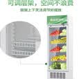 冷藏保鲜幼儿园食品留样柜带锁餐厅食堂小冰箱商用展示留样柜 52*47*87单锁款