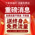 安爷4g摄像头终身免流量监控器360度无死角带夜视全景可对话吸顶半球机家庭楼道免打孔高清监控看护器