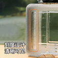 四万公里饮用纯净水桶户外空桶露营车载带龙头食品级PC家用储水蓄水箱