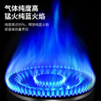 脉鲜便携户外卡式炉燃气灶气罐通用丁烷气瓶露营装备野餐煮饭装备气罐 脉250红限定*8