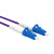 胜为 光纤跳线 LC-LC 单模单芯 紫色 10m FSCK-4100