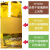 贝碧欧（Pebeo） 法国进口贝碧欧Pebeo自然干玻璃颜料玻璃彩教堂玻璃绘画颜料45ml 23柠檬黄 单瓶
