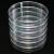 冰禹 培养皿 一次性塑料 细胞细菌培养皿 60mm(1000个/箱) BYS-283