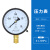 适用上海仪川仪表 径向负压真空压力表Y100 水压油压气压表 0-1.6 Y100 0-0.1MPa(1公斤)