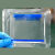 Western blot 蛋白预制胶 sds-page 电泳蛋白胶 MOPS 体系 4%-20% 10% 15孔(10块/盒)电泳液(F15010G