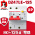 DZ47LE-125漏电断路器2P单相两极大功率保护开关D型80A 125A 2P