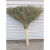花园户外环卫马路黑皮竹扫帚硬毛套装庭院老式小苕帚竹子扫把 绿色 木把高1.1米宽0.5米