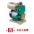 水泵-250A家用增压泵自动自吸泵太阳能循环泵加压泵抽水泵 PW750WA