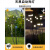 贝工 太阳能萤火虫灯 8头 暖光 公园装饰插地景观灯