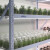 远程智控植物光照培养架 实验室组培架 组培瓶蔬菜架子 带组培灯 套餐二特制板3层实用智能款 远程控制断电提醒
