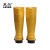 莱尔 R-11-19  耐酸碱防滑耐磨安全靴雨靴防护靴 黄色 36码 一双