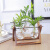 馳爵（CHIJUE）客厅插花摆件创意玻璃小花瓶简约透明水培小型植物容器小口养花盆 双座款（带2种不同植物） 中等