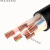 国标铜芯YJV2 3 4 5芯10 16 25 35平方室外工程电力电缆 电缆线 YJV3*25+1*16(10米)
