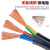 正泰（CHNT）电线RVV国标纯铜阻燃2/3/4芯电缆线1.5/2.5/4平方护套电源线 国标纯铜 2芯0.5 平方 1m