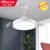 雷士（NVC）照明（NVC） led隐形风扇灯吊灯家用客厅简约现代北欧静音一体变 34寸光轨24W 6档/三色