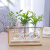 馳爵（CHIJUE）客厅插花摆件创意玻璃小花瓶简约透明水培小型植物容器小口养花盆 双座款（带2种不同植物） 中等