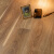飞美强化地板 进口家用耐磨地板 德国爱格EPL109N曼索尼娅胡桃木地板