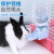 凯蒂奥兔子饮水器小宠动物用品全套专用自动水瓶水壶挂式喂水兔用喝水碗 饮水器500ml(蓝色)