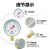 红旗（HONGQI）Y-100红旗普通压力表径向安装0-10mpa水压油压气压表螺纹M20*1.5	