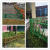 不锈钢仿竹护栏景区庭院园林公园市政围墙新农村建设竹节围栏定制 12米高每米价格颜色黄绿