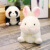 Disney日本ins动物公仔小鸡小兔子毛绒玩具玩偶孩子宝宝娃娃儿童节礼物 球球黑色企鹅 25厘米