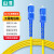 (SAMZHE)电信级光纤跳线 SC-SC(UPC) 单模单芯 低烟无卤9/125入户光纤线 收发器尾纤 1米G0-SCSC01