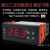 STC-8080A冷库柜鲜肉柜电子温控器定时化霜温度控制器 12V