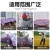 巨成 彩条布 防水布 防雨布 三色布 塑料布 雨篷布 规格4*30米