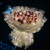 映棠情人节创意发光草莓荔枝花束水果鲜花包装纸手工diy材料生日礼物 33颗黑色 配教程