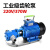 定制适用220V380V电动抽油泵自吸不锈钢齿轮泵高粘稠度机油食物油泵 工业级750W(220V)7