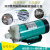 MP-10RN/15RM/20R/30R/55R耐腐蚀电渡水泵器泵微型磁力泵 MP-55RZ