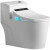 毕柯舒卫浴 智能马桶无水压限制家用一体式智能马桶全自动冲洗烘干 普通款坑距200