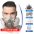 东部工品 防毒面罩 防有机蒸汽及酸性气体呼吸防护套装 面具1个 