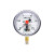 适用于 红旗仪表 抗耐震磁助式电接点压力表 0～10 MPA