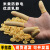 橡胶手指套防静电米黄电子工业耐磨劳保防护一次性乳胶手指套无粉手指套 进口米黄500克