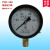 定制适用上海荣华压力表 1.6mpa锅炉表 气压表 蒸汽压力表 议价 0-1Mpa