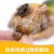 田螺丝海螺海鲜海瓜子批发特大新鲜鲜活海螺田螺贝贝螺海鲜水产 1.5kg