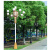 亮普洛 中华灯 7米9火高杆灯 市政道路灯 景观庭院广场灯 7米中华灯9火含光源