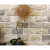 天然文化石外墙砖蘑菇石乡村庭院围墙别墅户室外仿古瓷砖 粉水晶蘑菇石      粉红色50片价 100*200