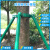 钢管树木支撑架固定器园林绿化养护防风大树支撑杆苗木镀锌行道树 3米长绿色40管1.5厚4根+抱箍